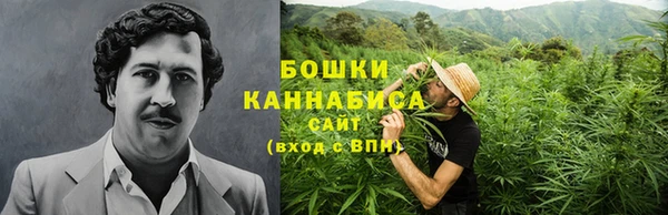 ECSTASY Бронницы