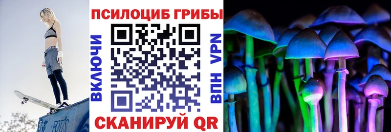 Псилоцибиновые грибы мицелий  Дзержинск 